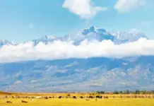 Ростовская область укрепит сотрудничество с Бурятией