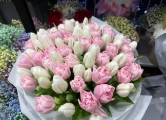 На юге России импорт цветов замещается местным производством