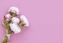 Цветочный импорт в Ростовской области снизился в 1,4 раза по итогам года