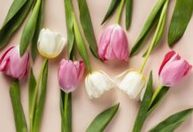 В Ростове неизвестные похитили 20 тысяч тюльпанов, причинив ущерб на сумму около миллиона рублей