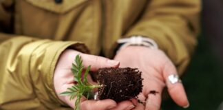 Поддержка и развитие креативных индустрий - приоритет для Ростовской области //Фото: Евгений Чистяков