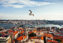 Посол Турции гарантировал безопасность туристам из Ростова на фоне кризиса на Ближнем Востоке Стамбул, Турция //Фото wirestock, Freepik