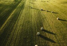 Ростовская область нарастит экспорт продукции АПК //Фото: freepik.com