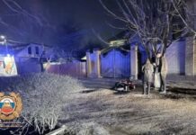 Начальник отдела регионального управления Россельхознадзора погиб в Ростове //Фото: Госавтоинспекция Ростовской области