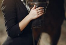 В Ростове появятся конные патрули полиции //Фото: freepik.com