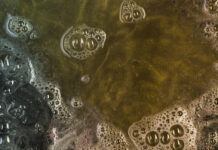 В Ростове на поверхности Дона обнаружили маслянистое пятно //Фото:freepik.com