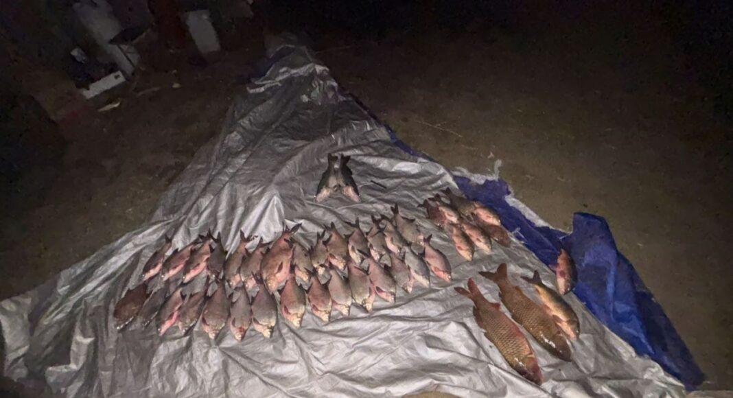 //Фото: Пресс-служба УТ МВД России по СКФО