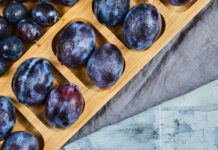 Без абрикосов и слив может остаться Донской регион в 2026 году