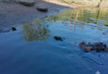 На Ростовском море обнаружили труп мужчины