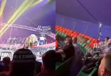 Побег тигра в цирке в Ростове стал причиной проверки со стороны СК